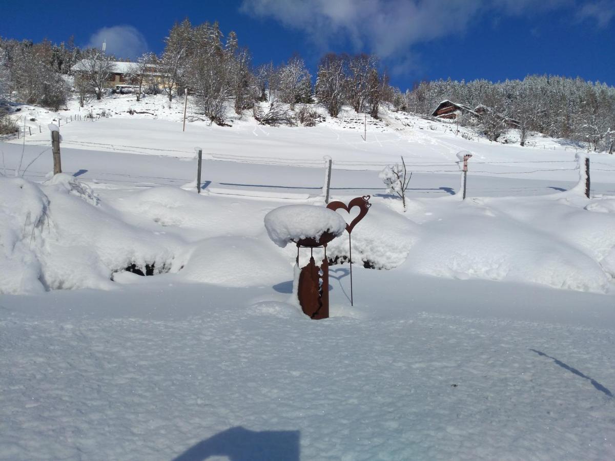 Ferienhaus Gstoderblick Seebach  Buitenkant foto
