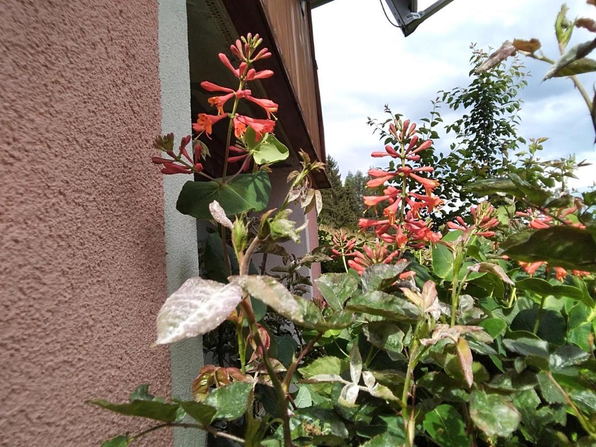 Ferienhaus Gstoderblick Seebach  Buitenkant foto